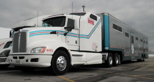 horse transportation truck